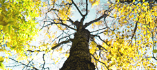 “Core competencies are different for every organization. . .”