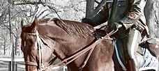 STAGECOACHES by Peter F. Drucker