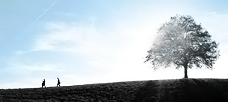 “The output limits of any process . . .”