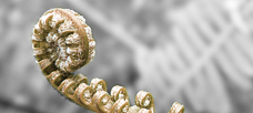 “Integrative thinkers don't break a problem into. . .”