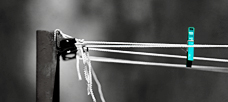 “[Effective executives] know that the trickiest decision is . . .”