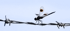 “Our brains get wired to be more or less creative. . .”