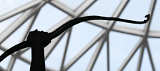 “A clearly-defined mission will foster innovative ideas. . .”