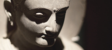 “Level 5 leaders embody a paradoxical mix. . .”