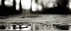 “Discontinuous leaps into arenas for which you have. . .”