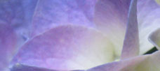 “All foundations have the obligation to be creative. . .”