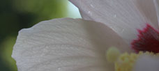 “Business success contains the seeds of. . .”
