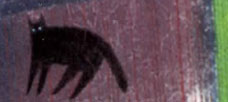 “Most strategic inflection points. . . approach on little cat feet.”