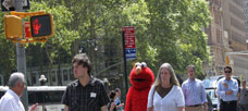 JIM HENSON'S CONTRIBUTION and LEGACY by ThEME