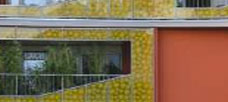 “They also present a window for seeing a company's ecological. . .”