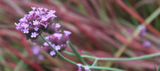 “The manager must understand the meaning. . . of rhetoric. . .”