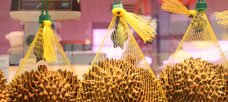 “Each organization has the task of balancing the need for order. . .”