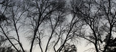 HAWTHORNE EXPERIMENT by ThEME