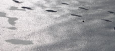T-GROUPS by Warren Bennis