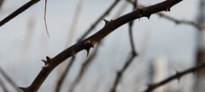 “Social media is a disruptive force for business. . .”