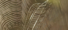 “Complexity causes the lethargy and inertia. . .“