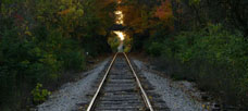 RAILROADS by Ted Levitt
