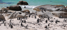 “Communication and collaboration between groups. . .”