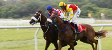 “Competition around tax is a healthy competition. . .”