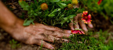 “Socializing managers by starting them in hands-dirty jobs. . .”