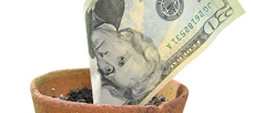 “To Harvest Dollars...”