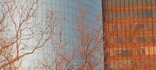 JOHN S. REED of CITIGROUP by Arnoldo Hax