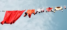 “The successful and performing nonprofits have learned to. . .”